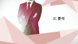 3C-분석