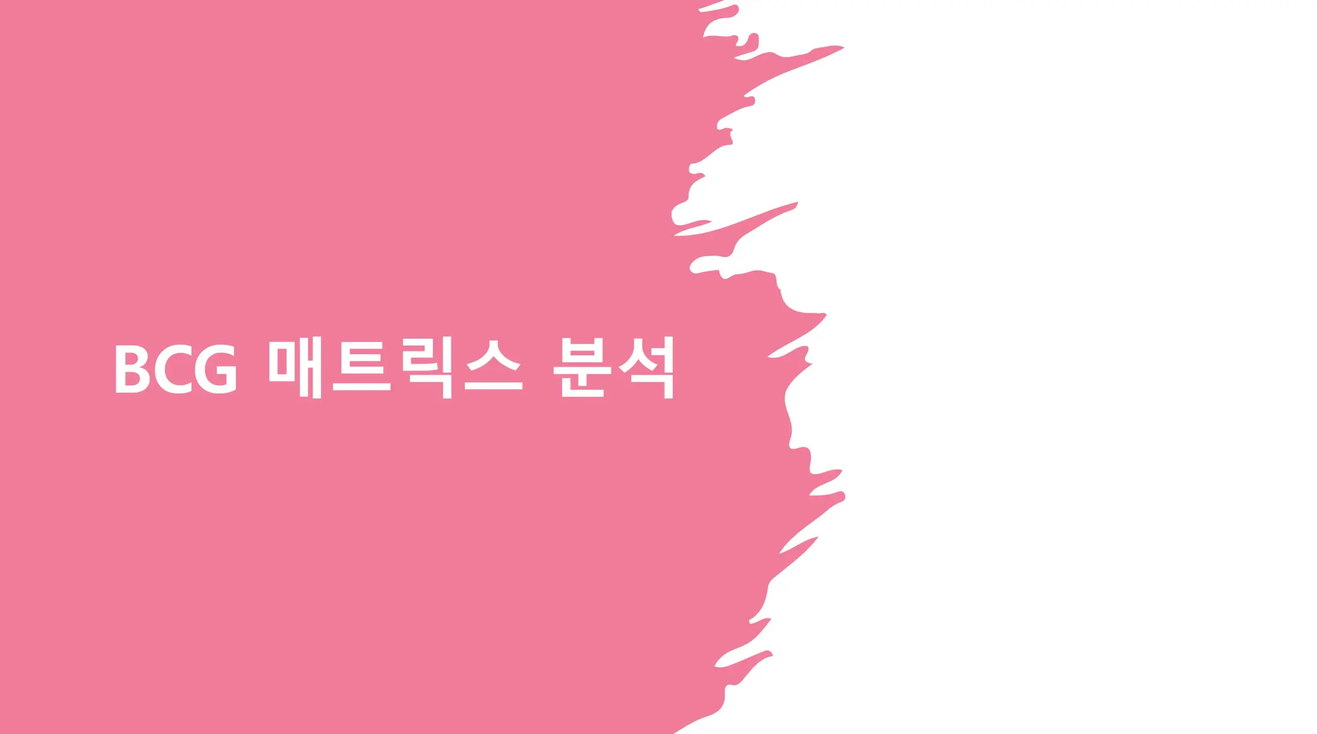 BCG-매트릭스-분석