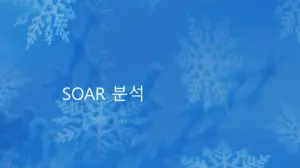 SOAR-분석