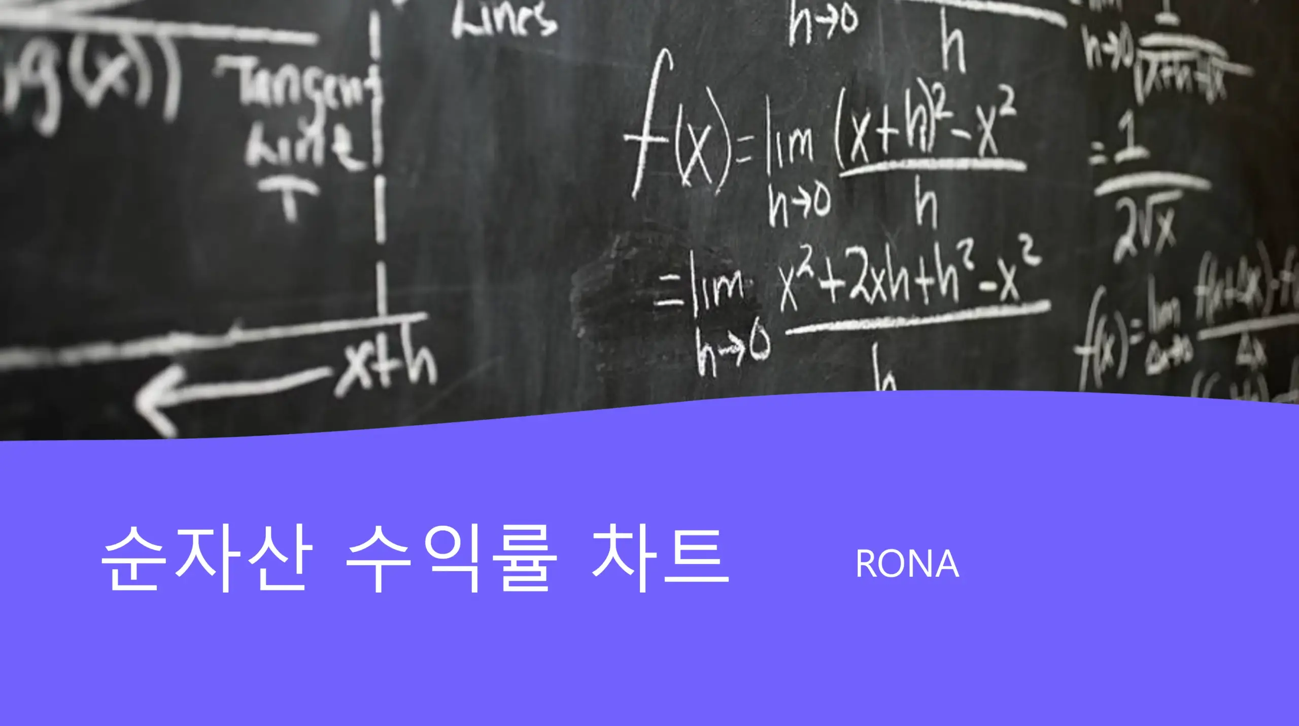 순자산-수익률-차트-RONA-Return-On-Net-Asset-Chart