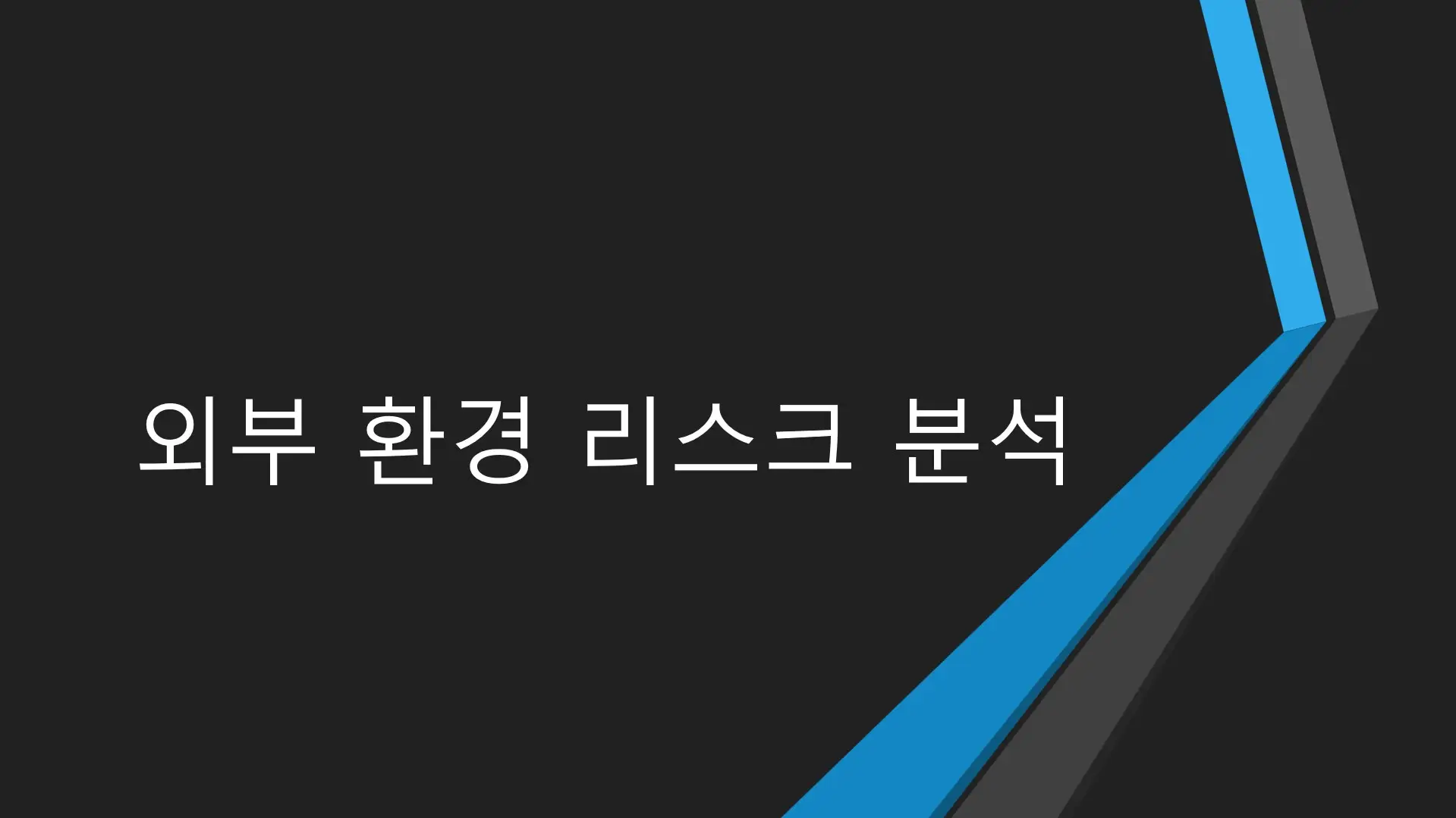 외부-환경-리스크-분석