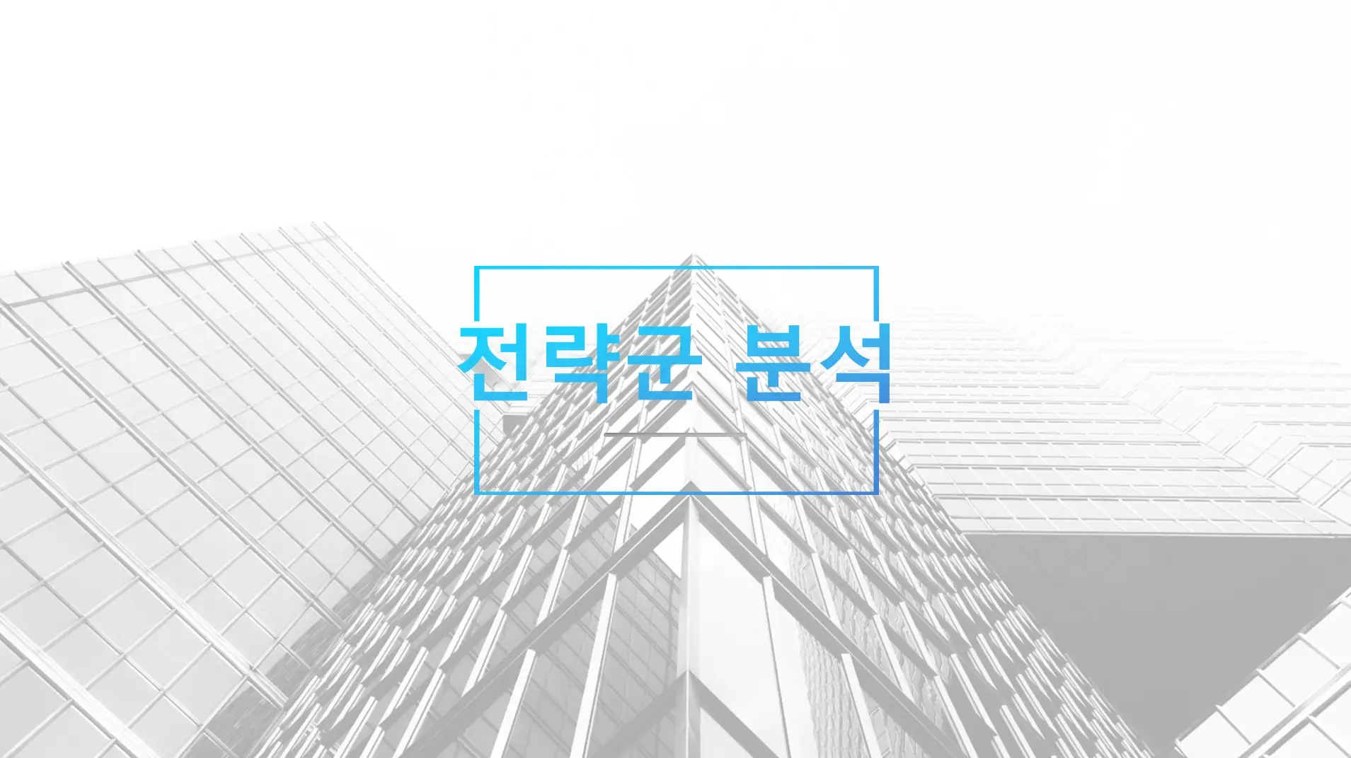 전략군-분석