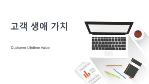 고객 생애 가치
