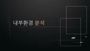 내부환경 분석