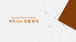 비즈니스 모델 분석