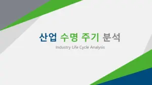 산업-수명-주기-분석
