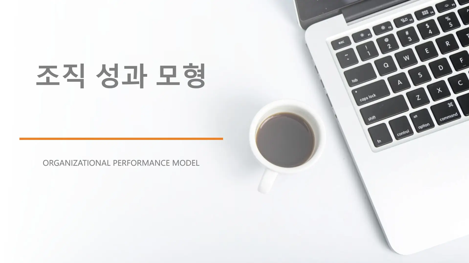 조직-성과-모형