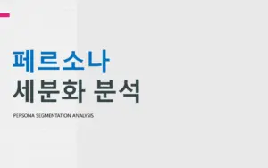 페르소나 세분화 분석