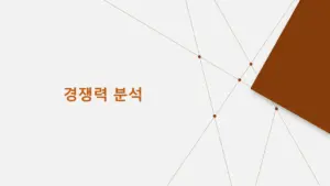경쟁력-분석