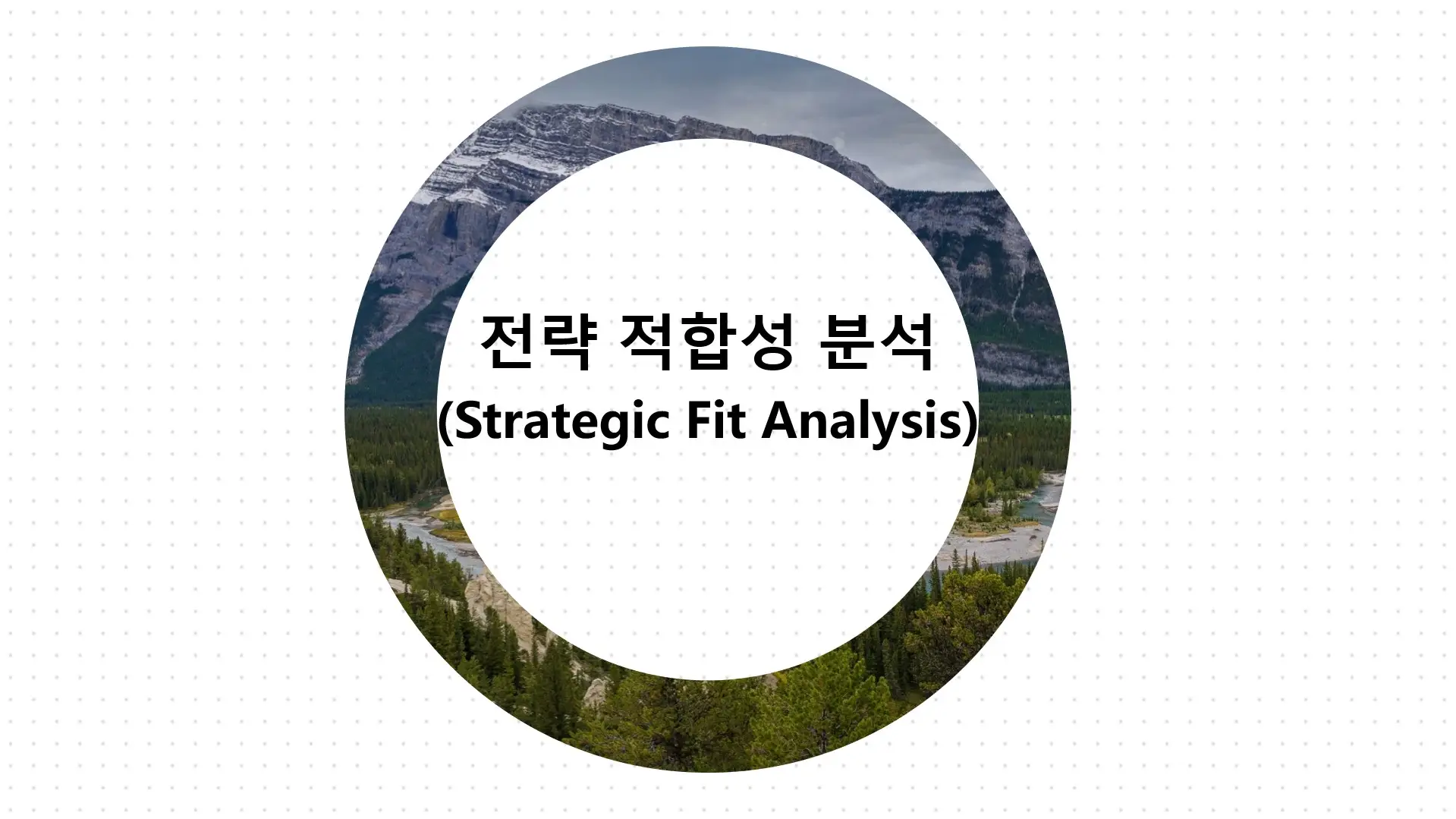 전략-적합성-분석