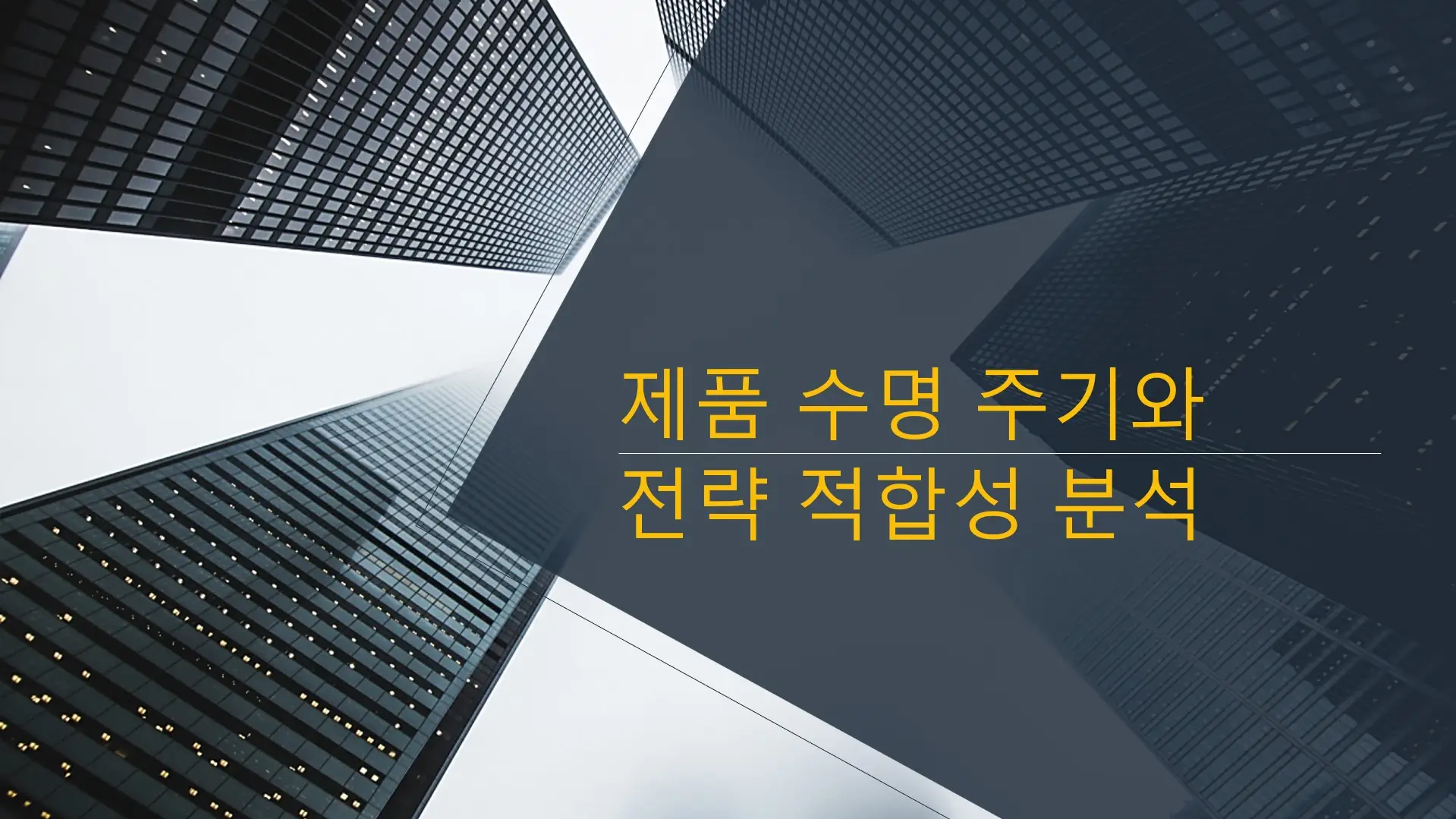 제품-수명-주기와-전략-적합성-분석