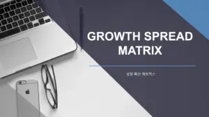 맥킨지 성장 확산 매트릭스(Growth Spread Matrix)