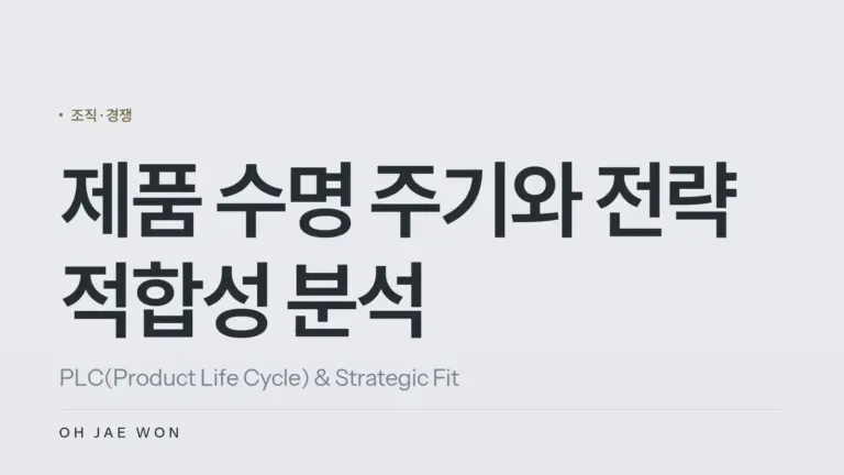제품 수명 주기와 전략 적합성 분석